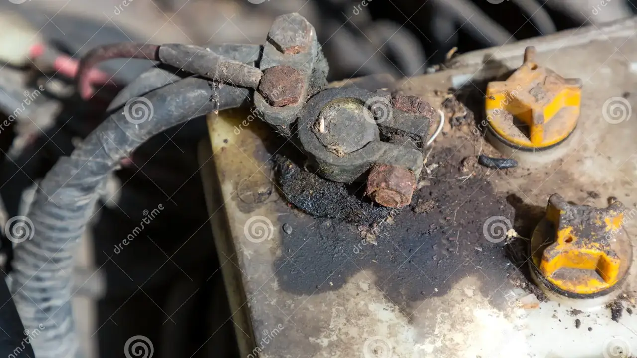 pork chops with cream sauce