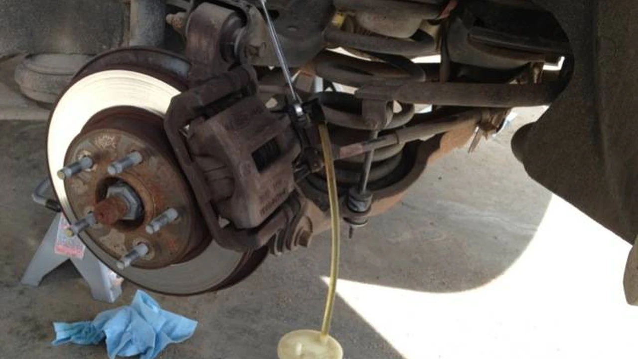 pork chops with cream sauce