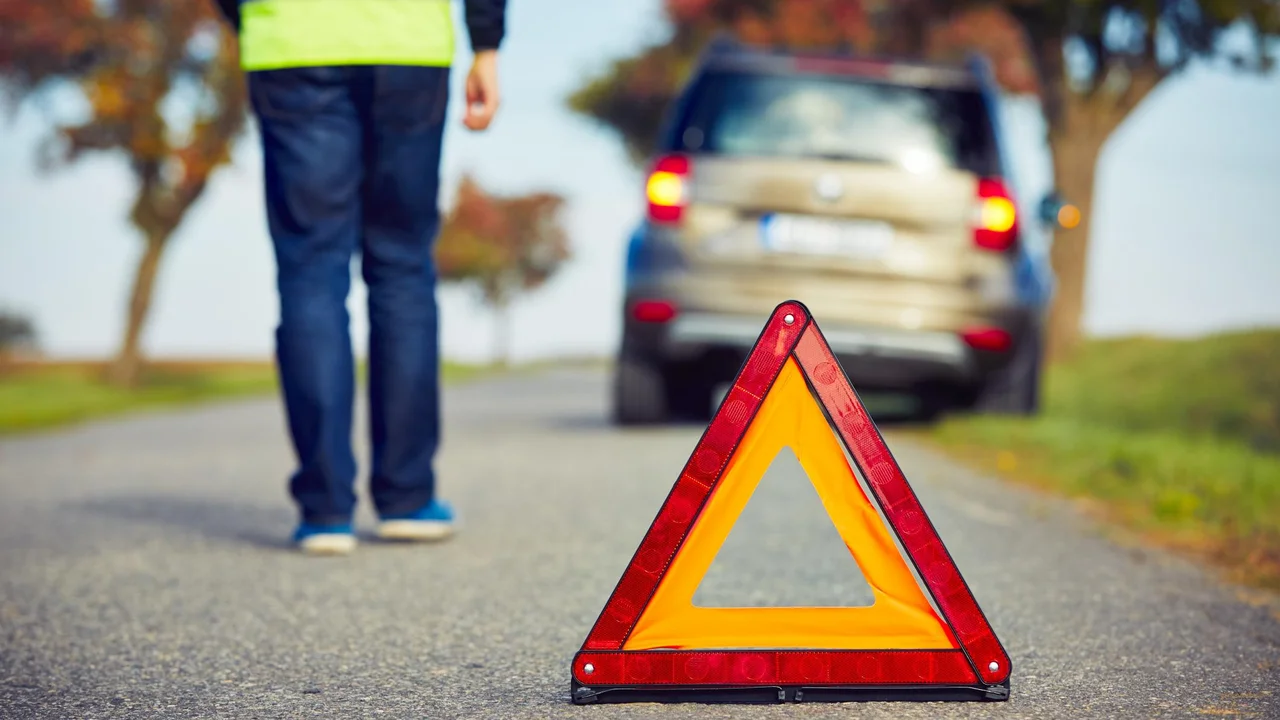 pork chops with cream sauce