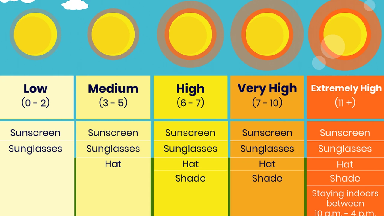 pork chops with cream sauce