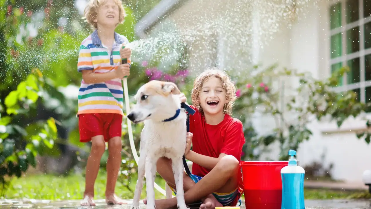 blue bowl of black bean beef tortilla soup on a board with cilantro and shredded cheese in background