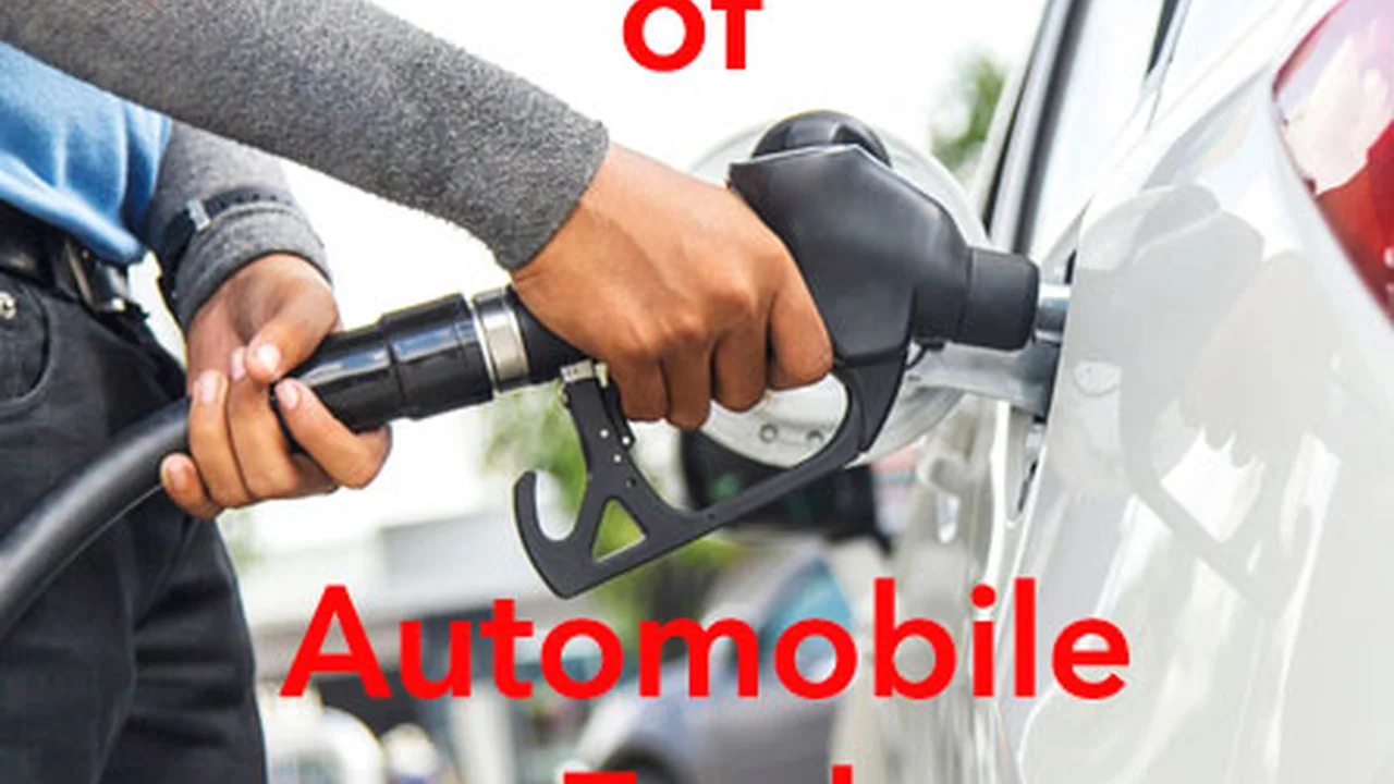 blue bowl of black bean beef tortilla soup on a board with cilantro and shredded cheese in background